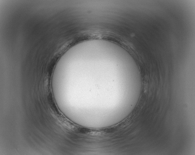 X0000082150314200701191030