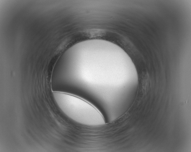 X0000082150316200701191030