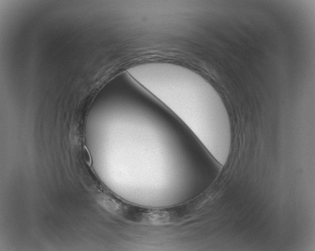 X0000082150317200701191030