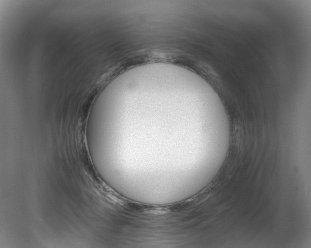 X0000082150318200701191030