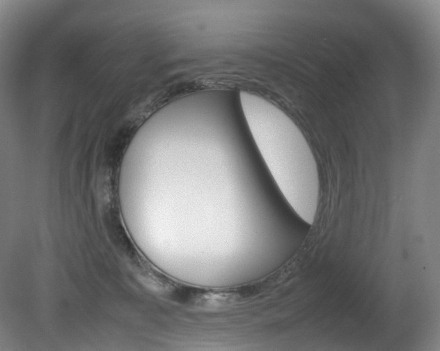 X0000082150323200701191030