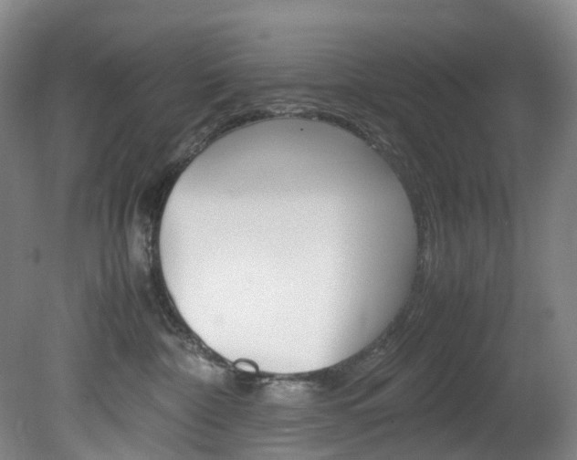 X0000082150332200701191030