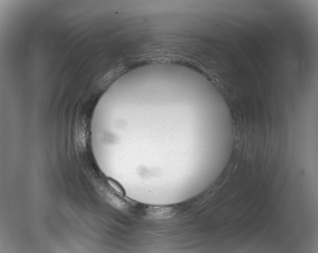 X0000082150334200701191030