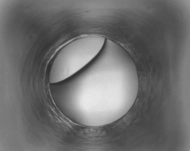 X0000082150338200701191029