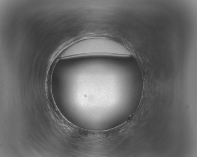 X0000082150340200701191029