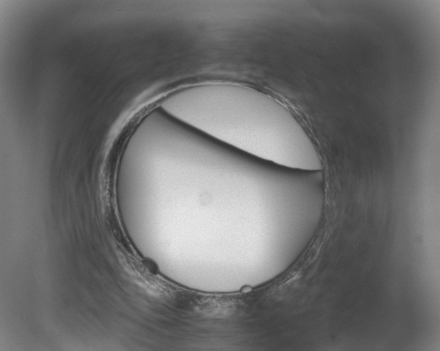X0000082150343200701191029