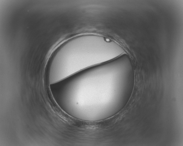 X0000082150344200701191029