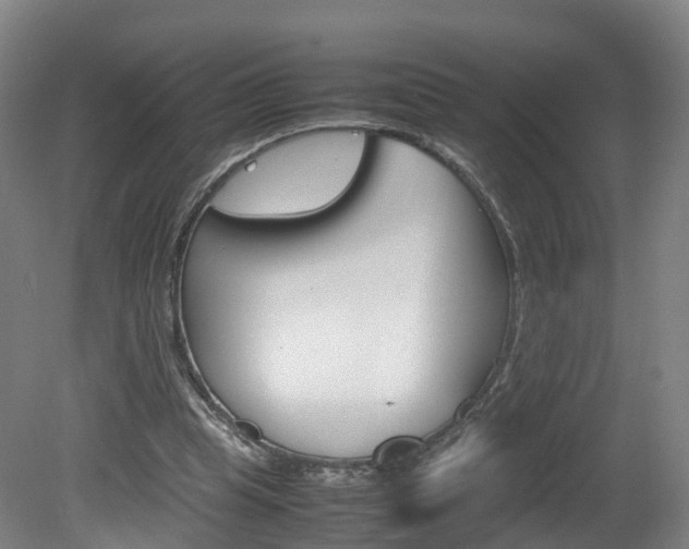X0000082150345200701191029