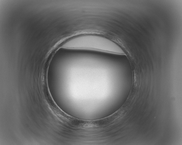 X0000082150348200701191029