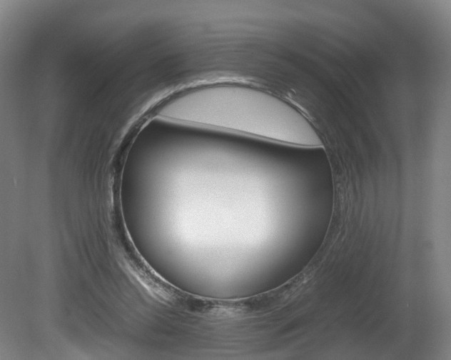 X0000082150350200701191029