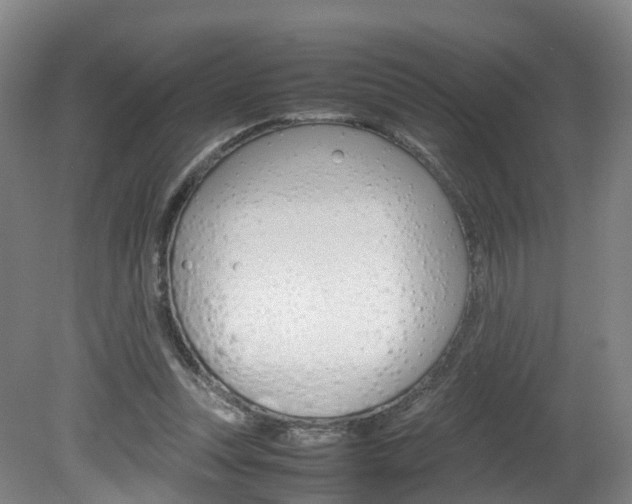 X0000082150351200701191029