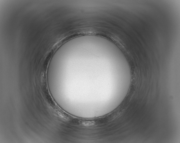 X0000082150355200701191029