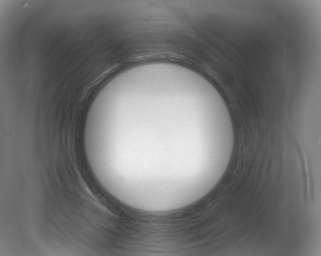 X0000082150356200701191029