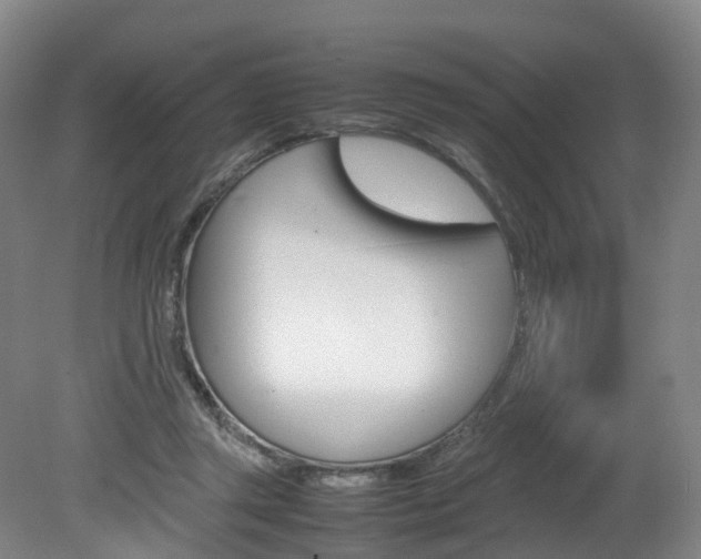 X0000082150357200701191029