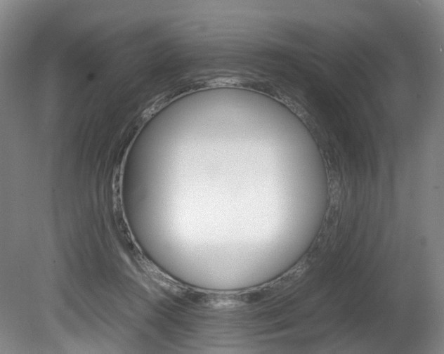 X0000082150360200701191029