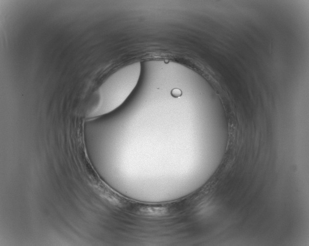 X0000082150361200701191029
