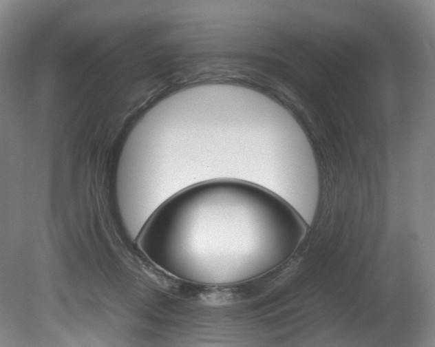 X0000082150362200701191029