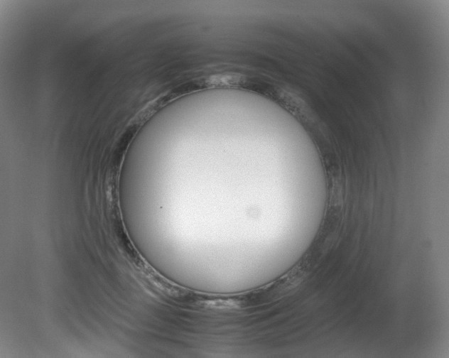 X0000082150363200701191029