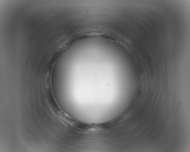 X0000082150364200701191030