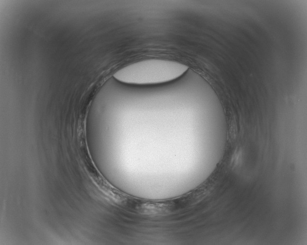 X0000082150367200701191030