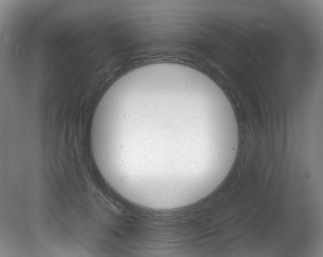 X0000082150368200701191030