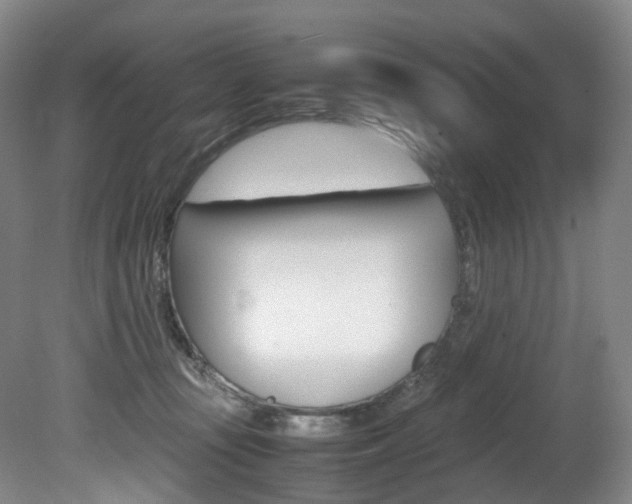 X0000082150371200701191030