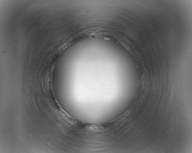 X0000082150372200701191030