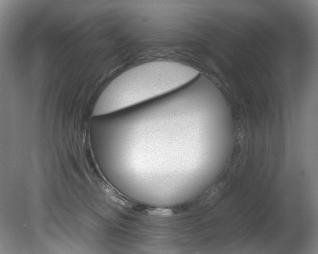 X0000082150374200701191030