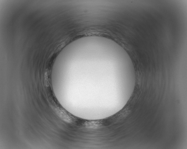 X0000082150378200701191030