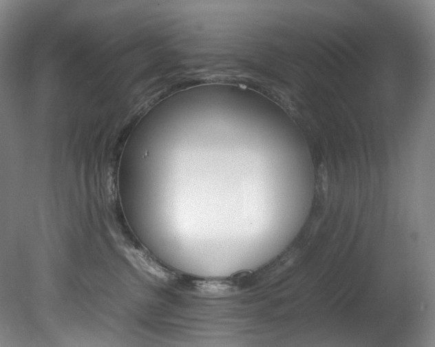 X0000082150380200701191030