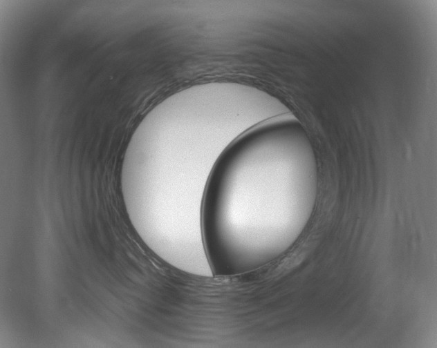 X0000082150384200701191030