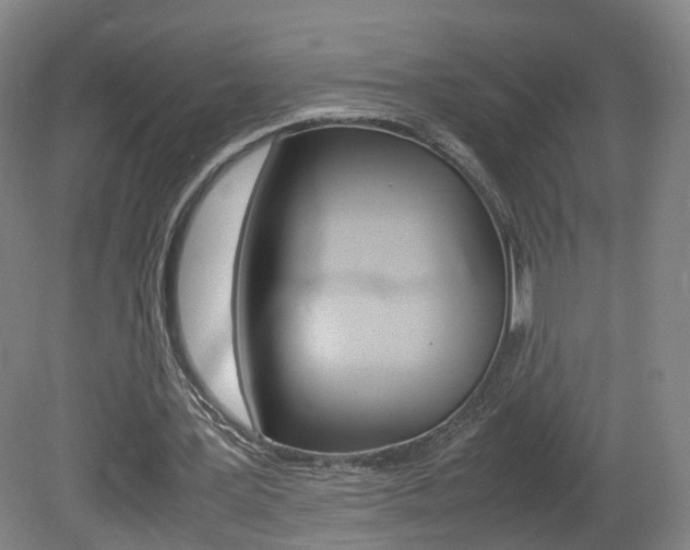 X0000082150387200701191029
