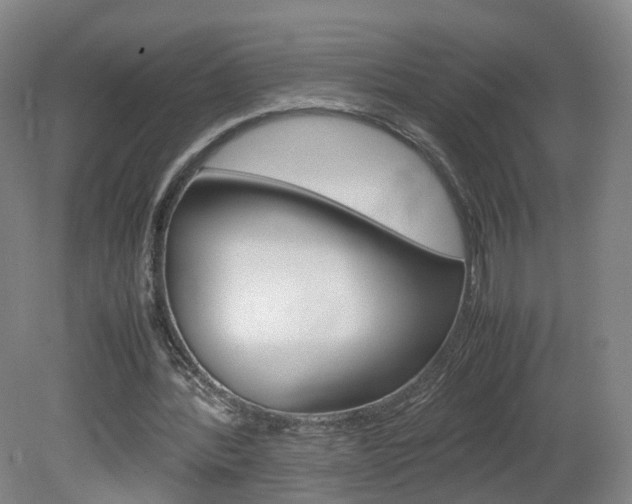 X0000082150388200701191029