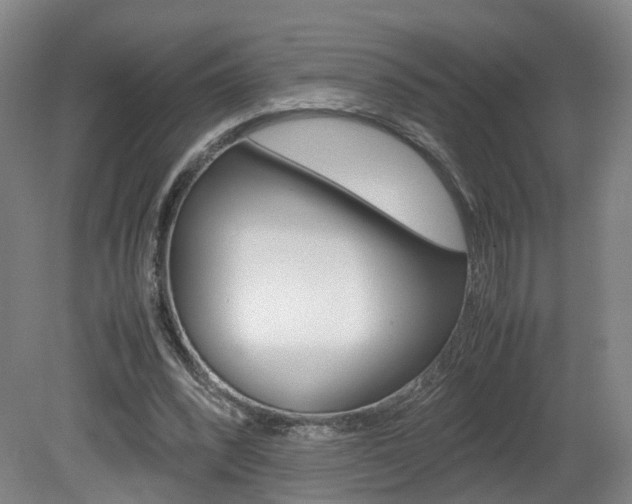 X0000082150392200701191029