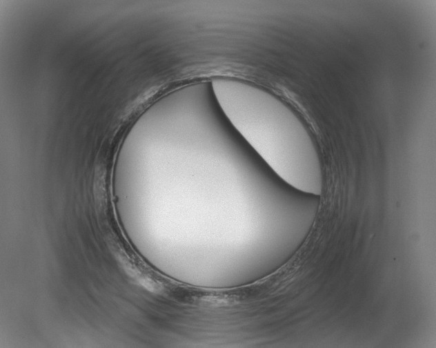 X0000082150394200701191029