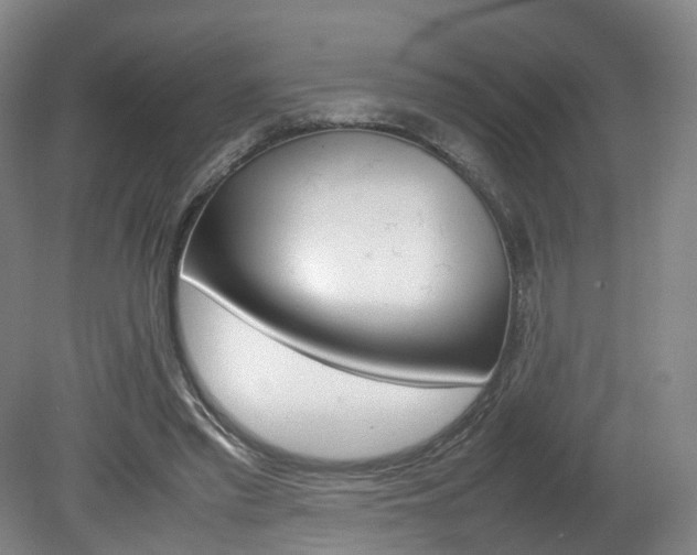 X0000082150397200701191029