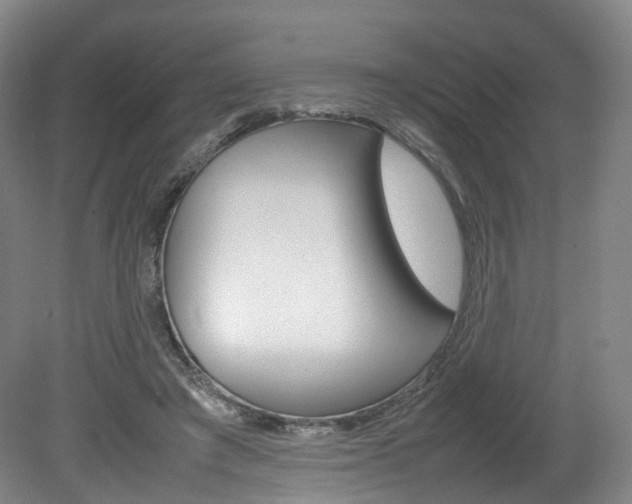 X0000082150401200701191029