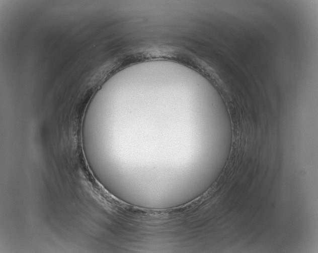 X0000082150402200701191029