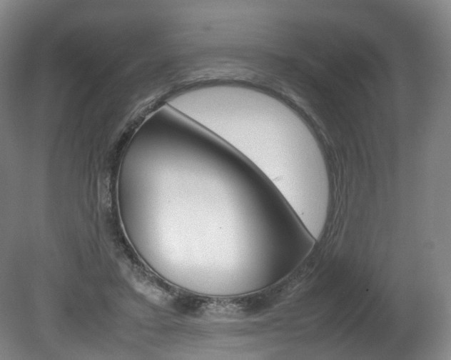 X0000082150403200701191029