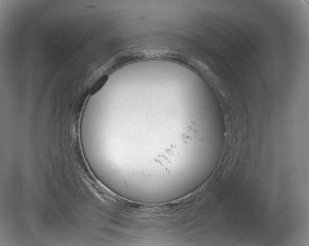 X0000082150405200701191029