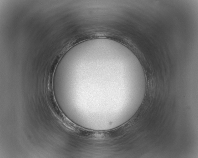 X0000082150406200701191029