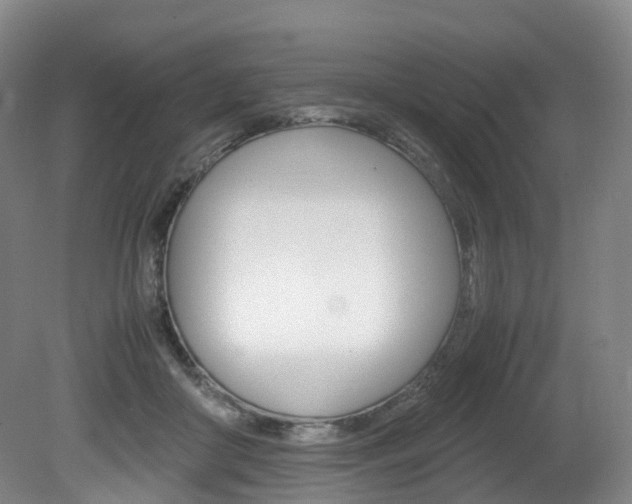 X0000082150410200701191029