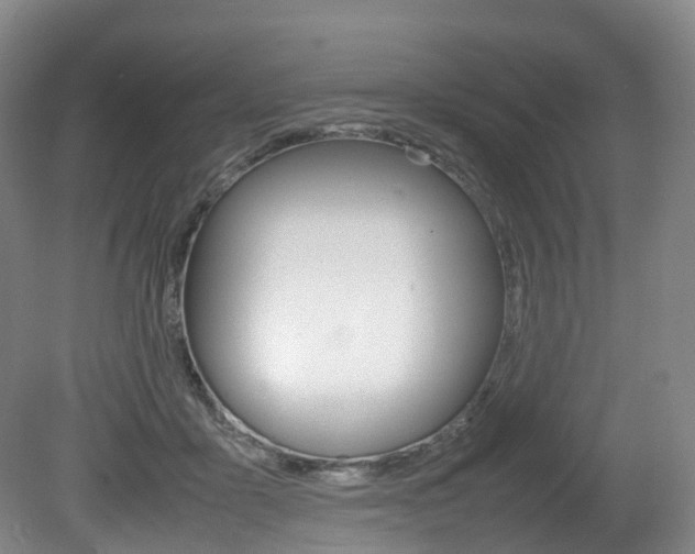 X0000082150411200701191029