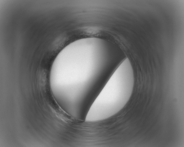 X0000082150412200701191029