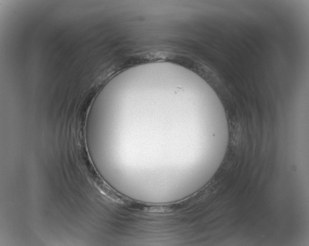 X0000082150414200701191029