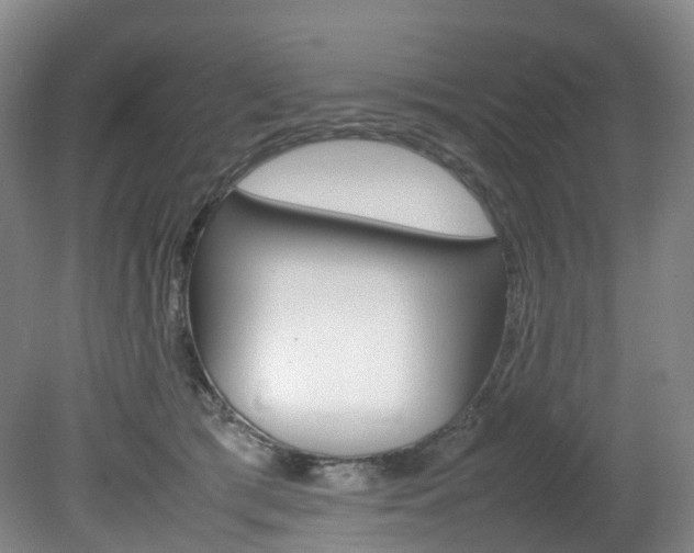 X0000082150417200701191028