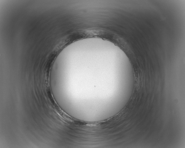 X0000082150418200701191028