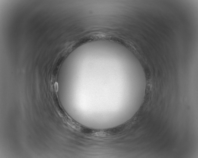 X0000082150423200701191028