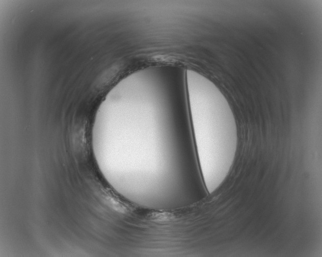 X0000082150424200701191028