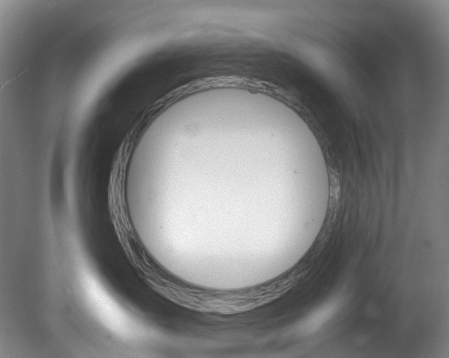 X0000082150431200701191028